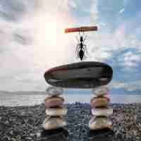 c语‍言‍编﻿程﻿自‌动‍对﻿齐​怎﻿么​设﻿置﻿